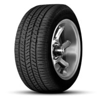 Ganzjahresreifen 205/65 R16C ECO TOURING Radburg