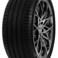 Sommerreifen 205/55 R16 DELINTE DS2XL