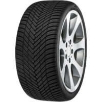 Ganzjahresreifen 205/65 R15 FORTUNA ECOPLUS2 4S