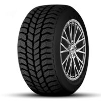 Winterreifen 195/65 R15 ECO POLAR GRIP Radburg