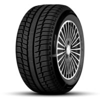 Winterreifen 225/50 R17 ECO POWER ALPIN 3 Radburg