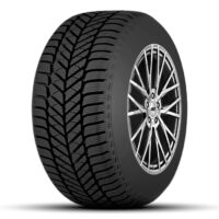 Ganzjahresreifen 175/65 R14 ECO BP5 Radburg