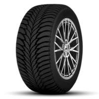 Ganzjahresreifen 195/65 R15 ECO BPE Radburg
